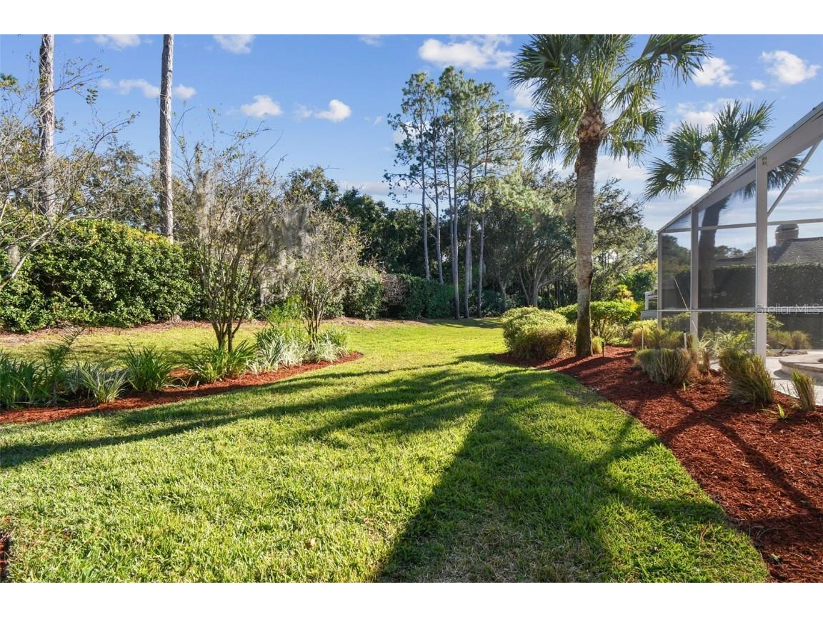 3988 Mimosa Place Palm Harbor FL 34685 - LAKE TARPON TB8448645 image72