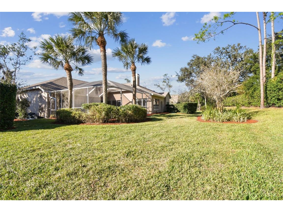 3988 Mimosa Place Palm Harbor FL 34685 - LAKE TARPON TB8448645 image74