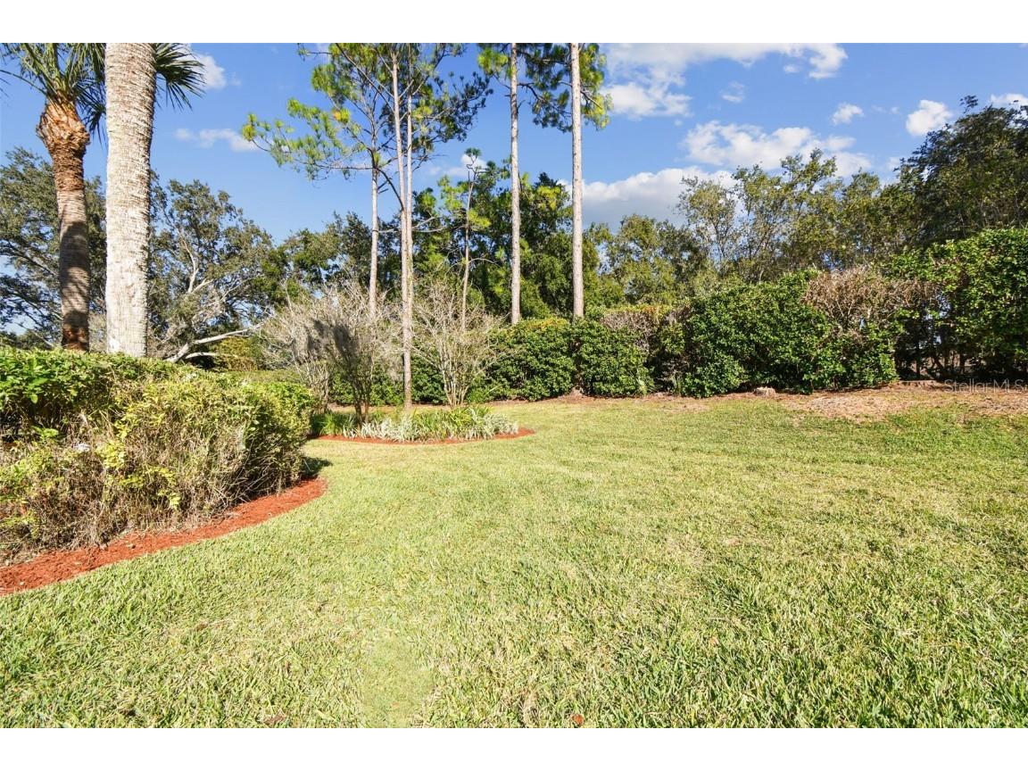 3988 Mimosa Place Palm Harbor FL 34685 - LAKE TARPON TB8448645 image75