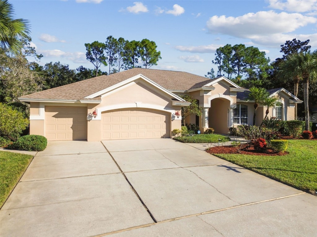3988 Mimosa Place Palm Harbor FL 34685 - LAKE TARPON TB8448645 image76