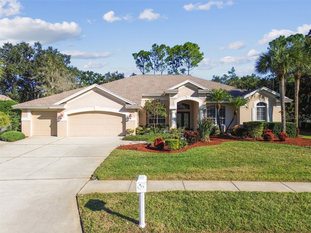 3988 Mimosa Place Palm Harbor FL 34685 - LAKE TARPON TB8448645 image77
