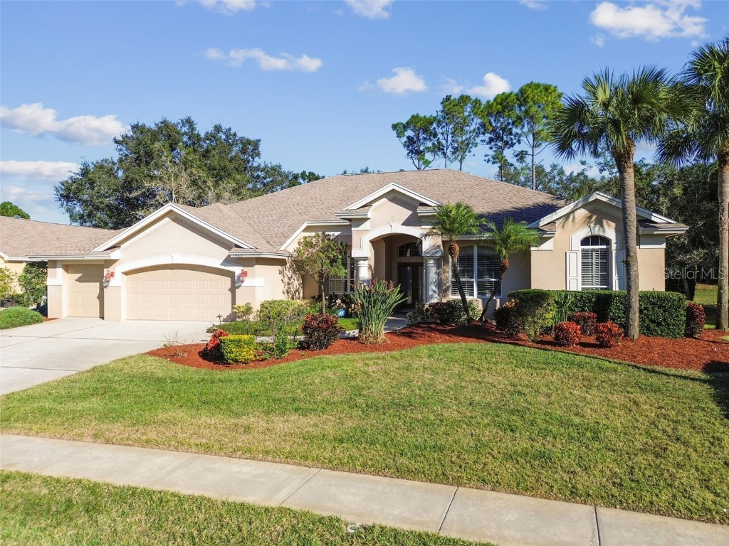 3988 Mimosa Place Palm Harbor FL 34685 - LAKE TARPON TB8448645 image78