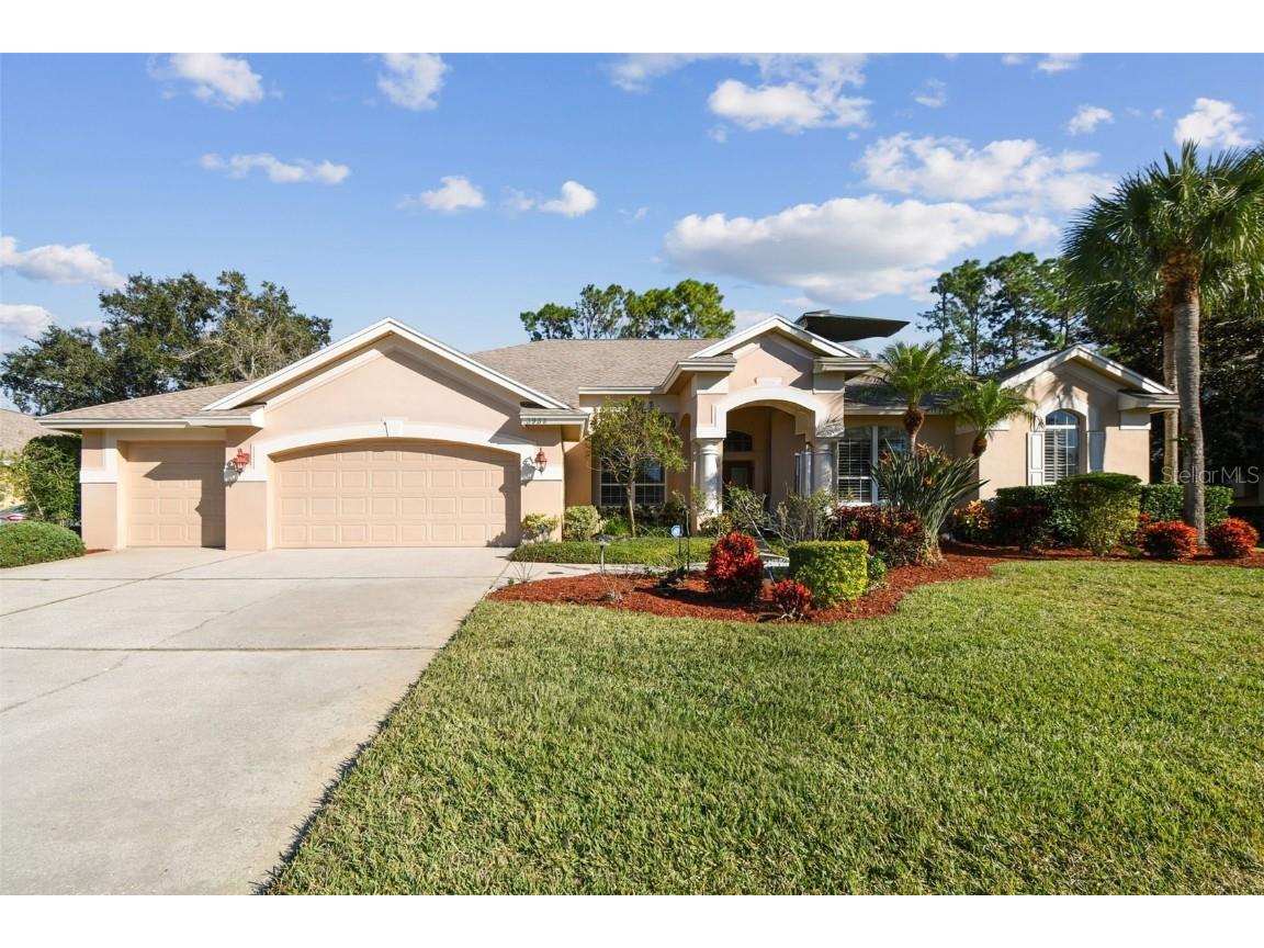3988 Mimosa Place Palm Harbor FL 34685 - LAKE TARPON TB8448645 image79