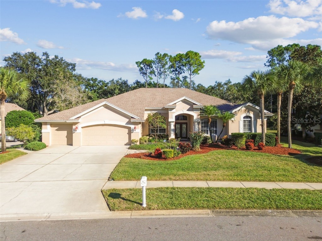 3988 Mimosa Place Palm Harbor FL 34685 - LAKE TARPON TB8448645 image81