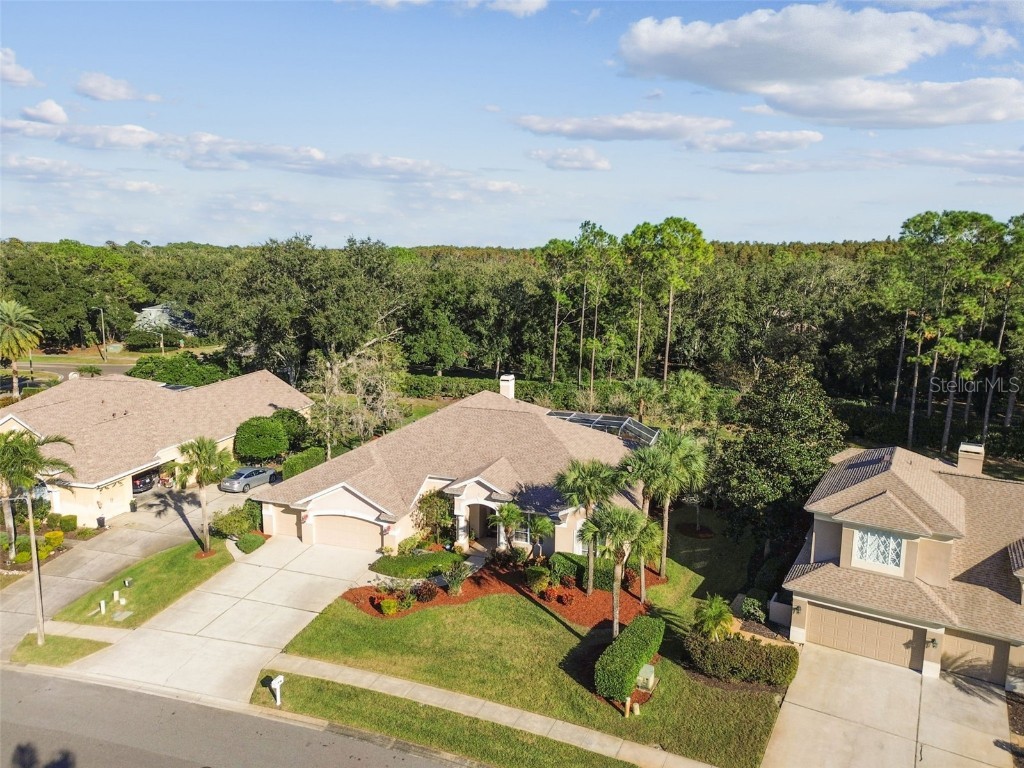 3988 Mimosa Place Palm Harbor FL 34685 - LAKE TARPON TB8448645 image82