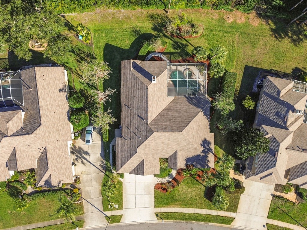 3988 Mimosa Place Palm Harbor FL 34685 - LAKE TARPON TB8448645 image83