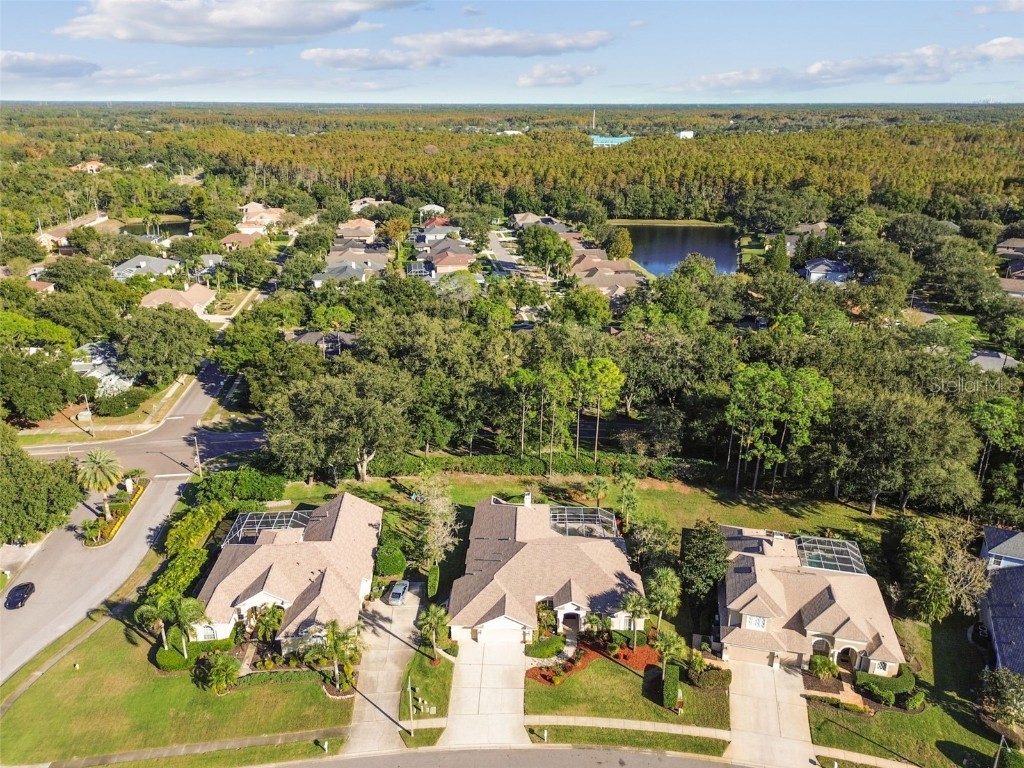 3988 Mimosa Place Palm Harbor FL 34685 - LAKE TARPON TB8448645 image84