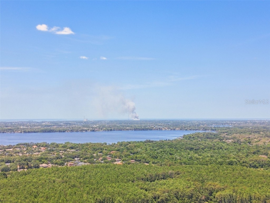 3988 Mimosa Place Palm Harbor FL 34685 - LAKE TARPON TB8448645 image86