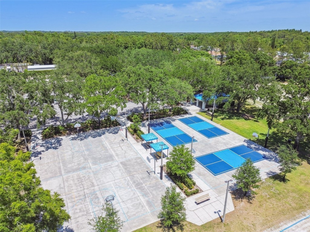 3988 Mimosa Place Palm Harbor FL 34685 - LAKE TARPON TB8448645 image88