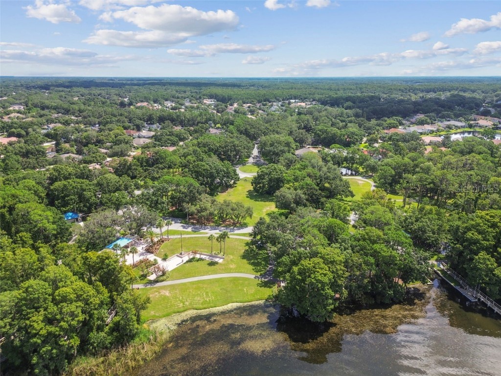 3988 Mimosa Place Palm Harbor FL 34685 - LAKE TARPON TB8448645 image90