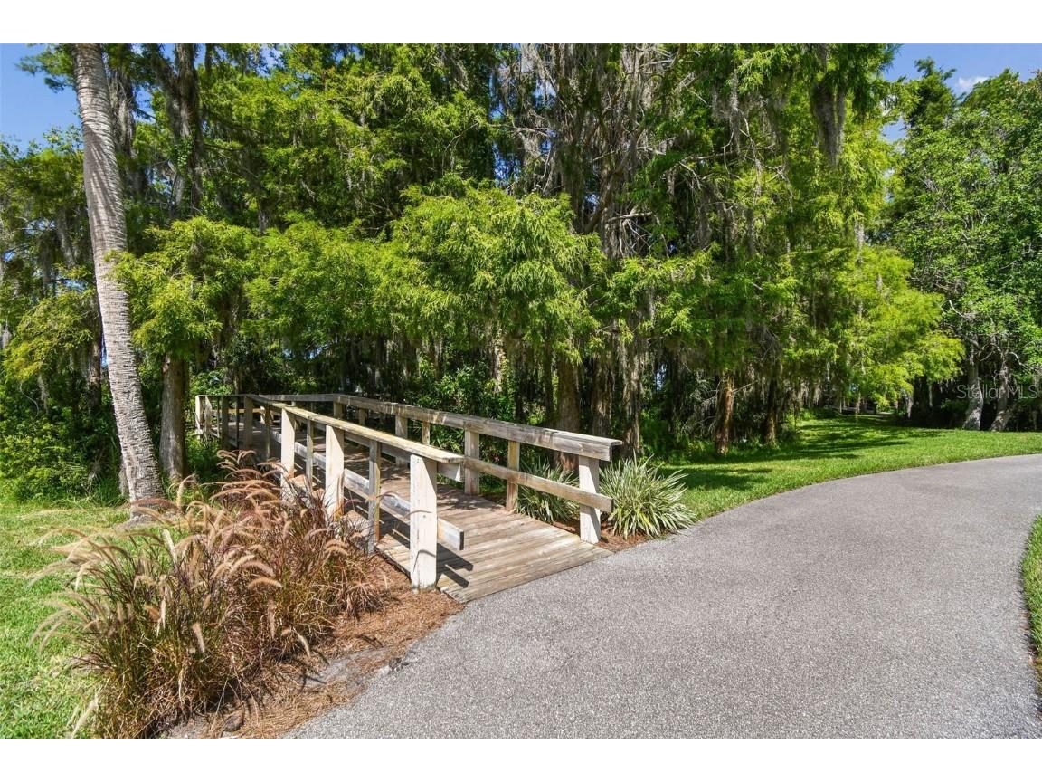 3988 Mimosa Place Palm Harbor FL 34685 - LAKE TARPON TB8448645 image93