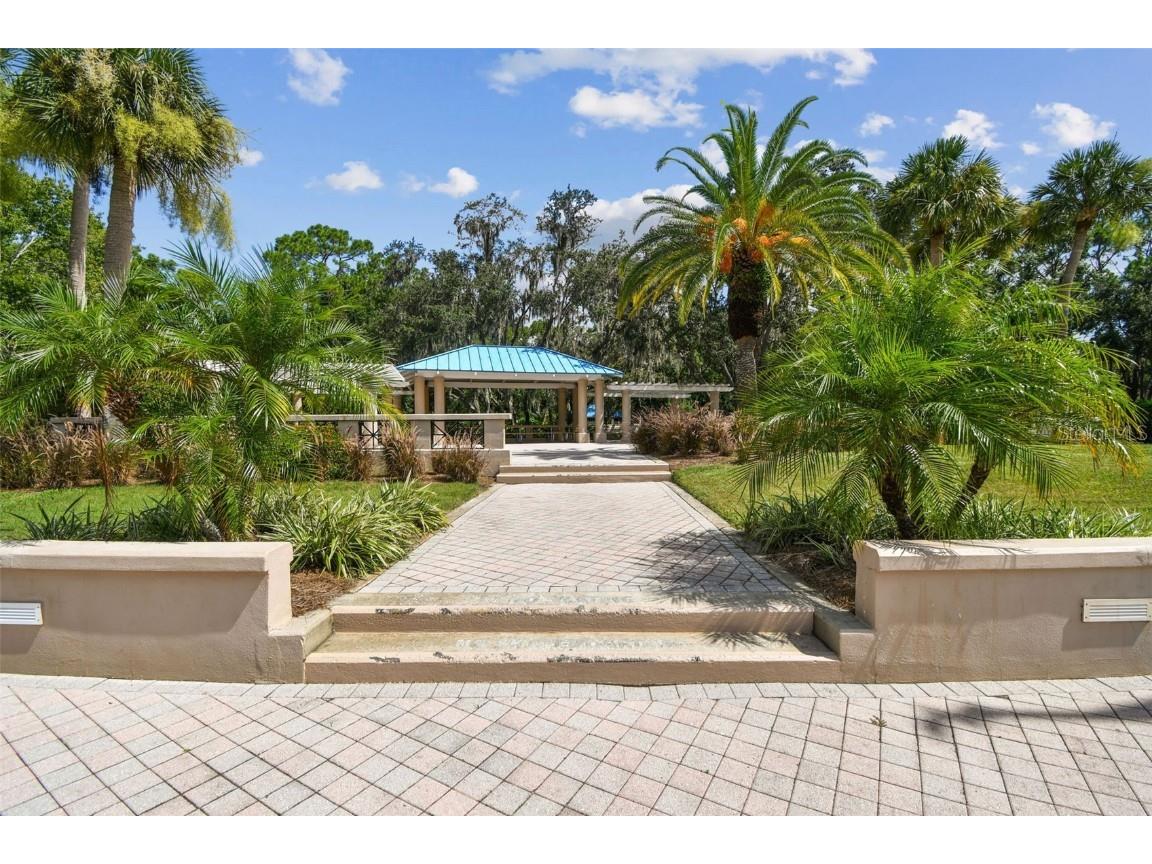3988 Mimosa Place Palm Harbor FL 34685 - LAKE TARPON TB8448645 image94