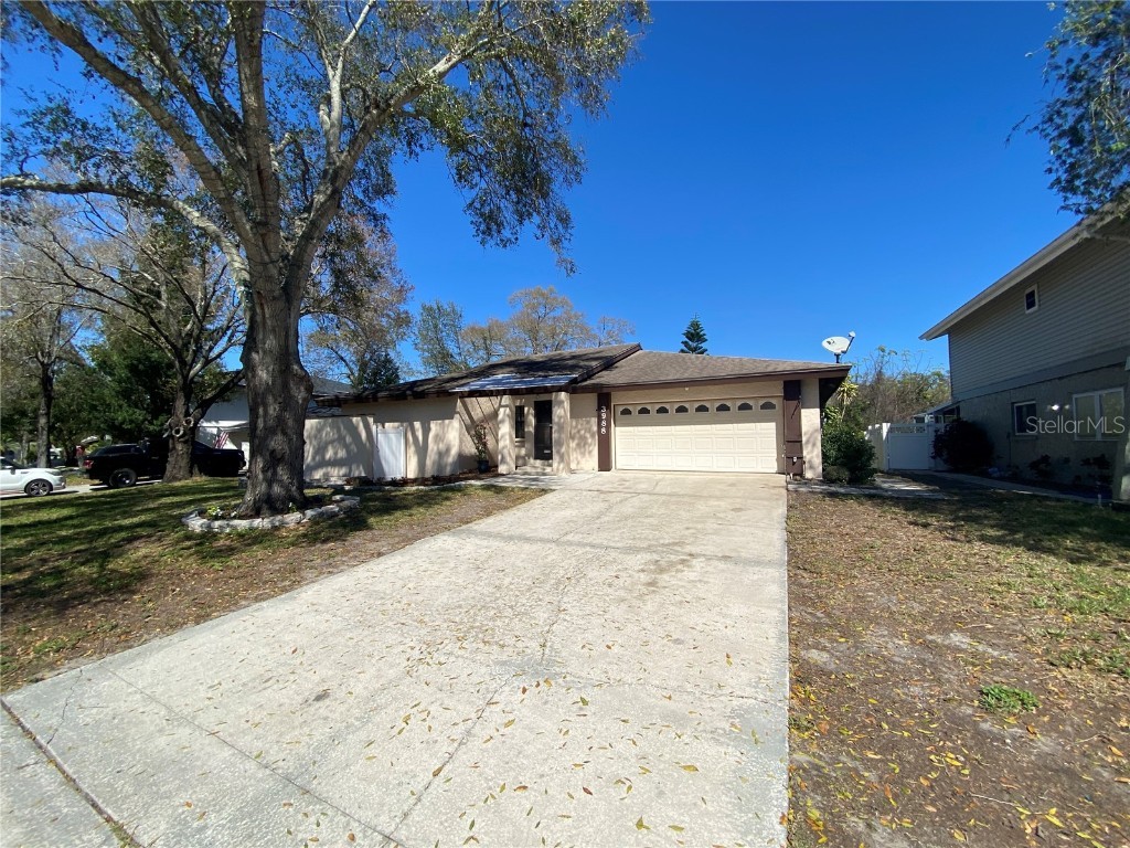 3988 Orchard Hill Circle Palm Harbor FL 34684 T3434884 image1