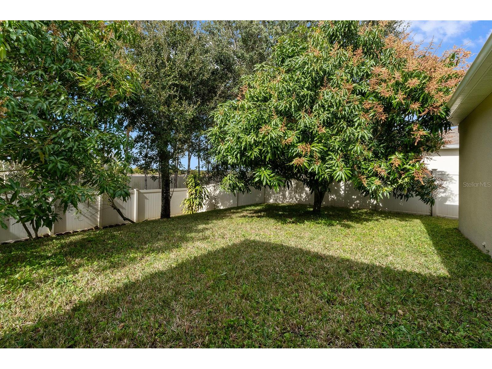 3989 Eternity Circle Saint Cloud FL 34772 O6375788 image27