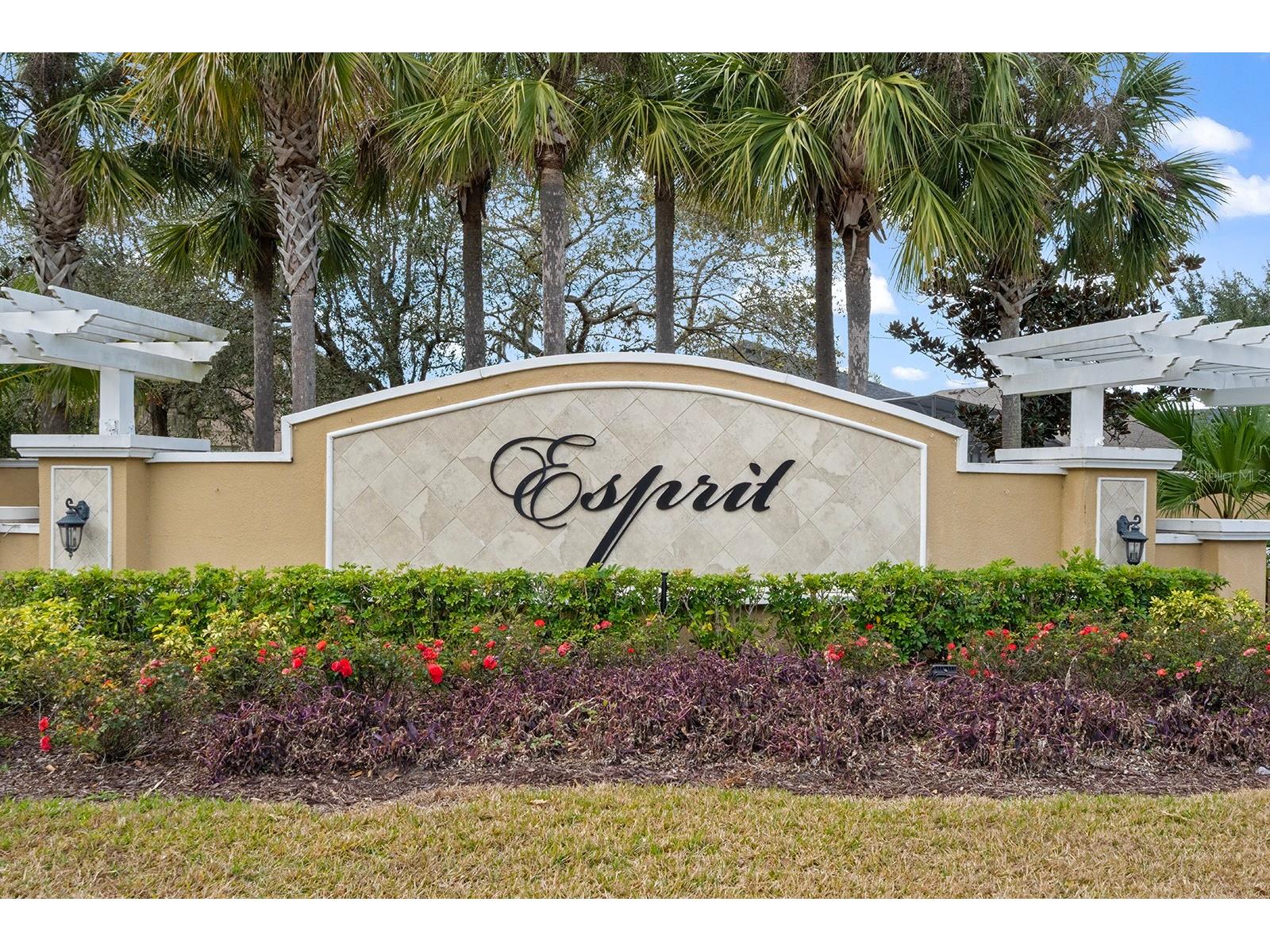 3989 Eternity Circle Saint Cloud FL 34772 O6375788 image37