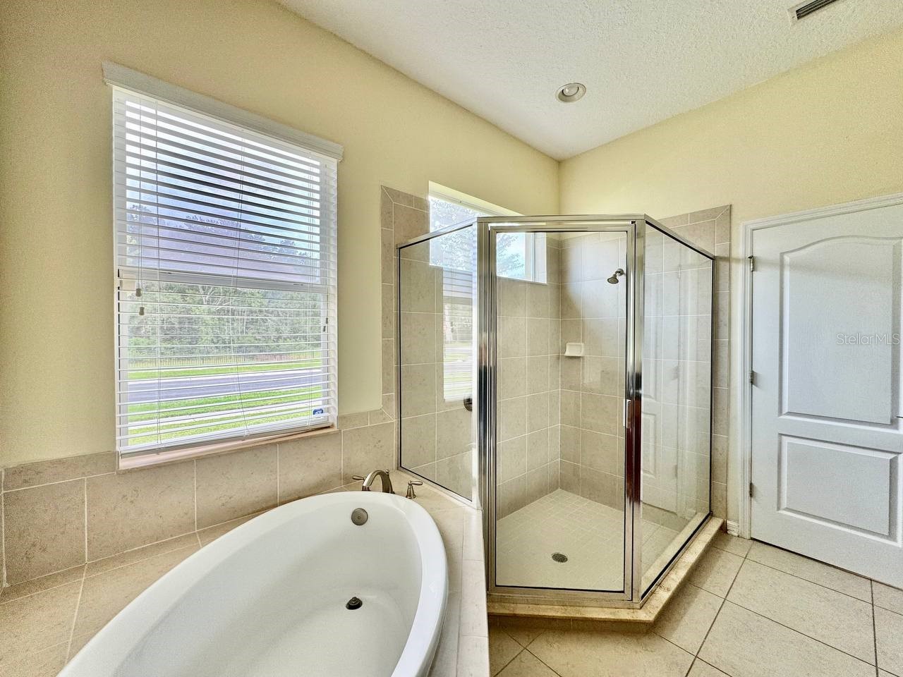 3989 Windcrest Drive Wesley Chapel FL 33544 TB8527504 image18