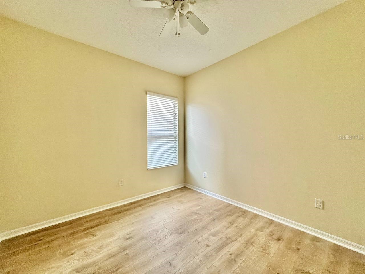 3989 Windcrest Drive Wesley Chapel FL 33544 TB8527504 image25