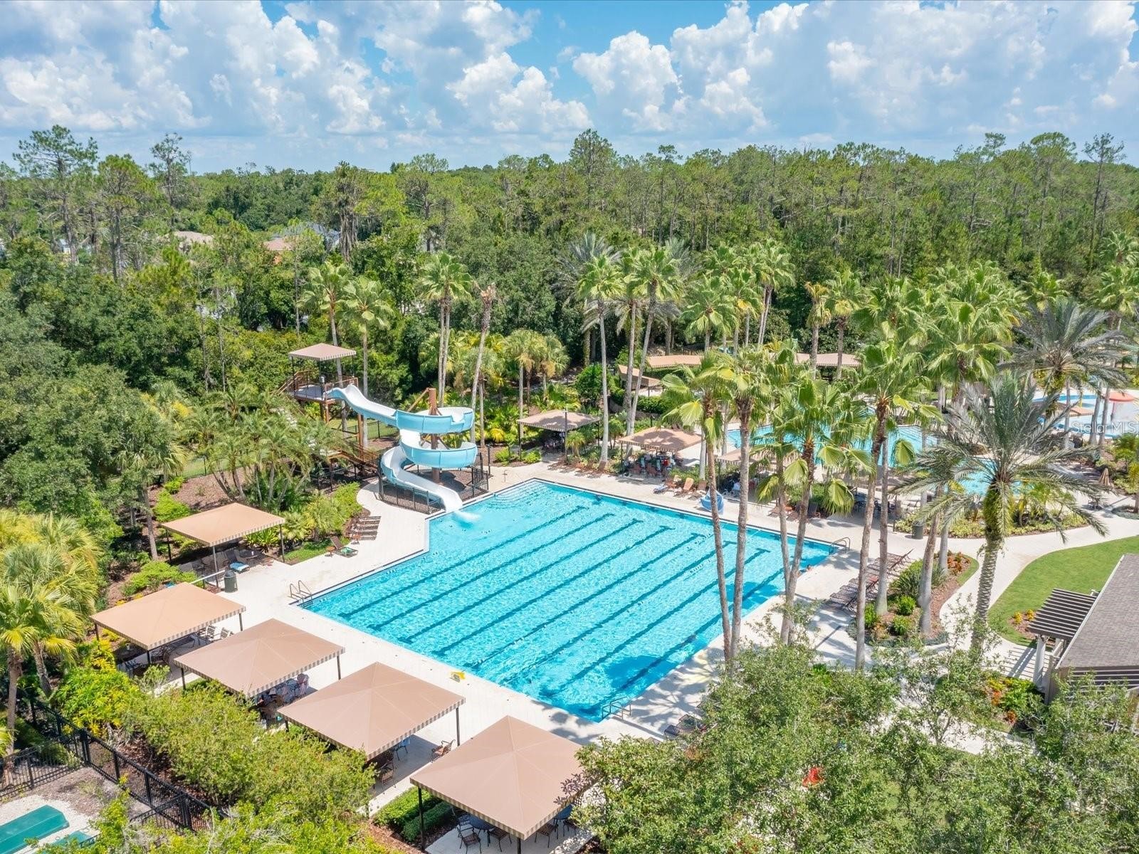 3989 Windcrest Drive Wesley Chapel FL 33544 TB8527504 image31