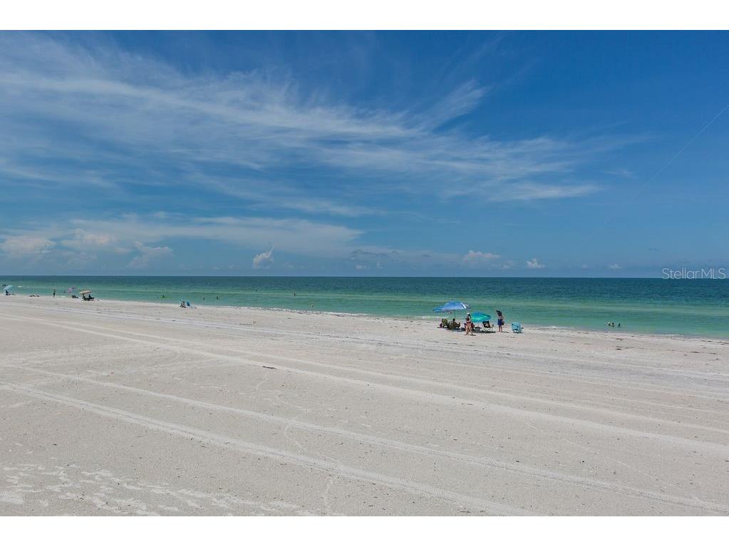 399 2nd Street #215 Indian Rocks Beach FL 33785 TB8471197 image50