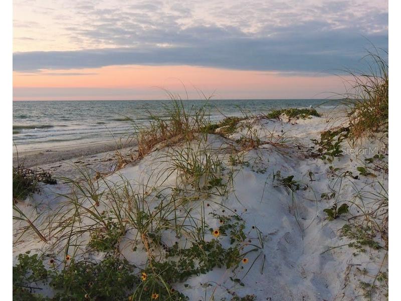 399 2nd Street #215 Indian Rocks Beach FL 33785 TB8471197 image51
