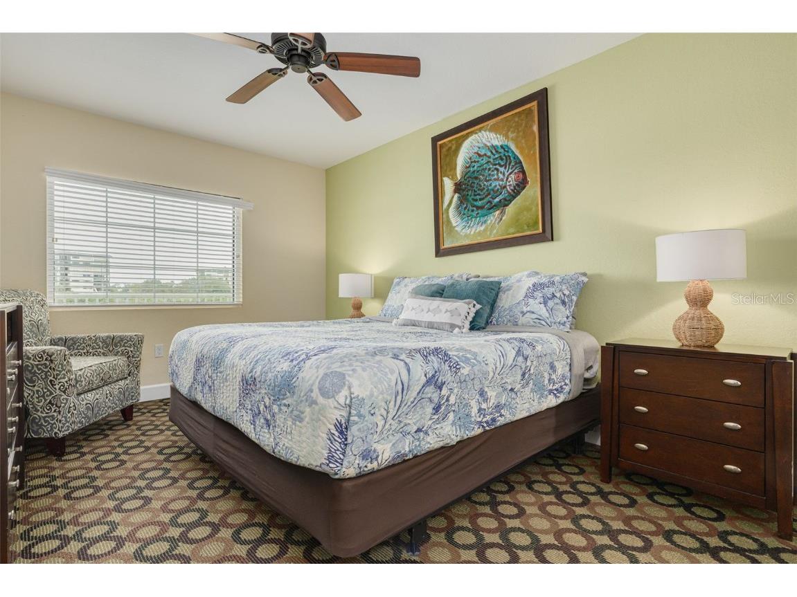 399 2nd Street #219 Indian Rocks Beach FL 33785 TB8453931 image21