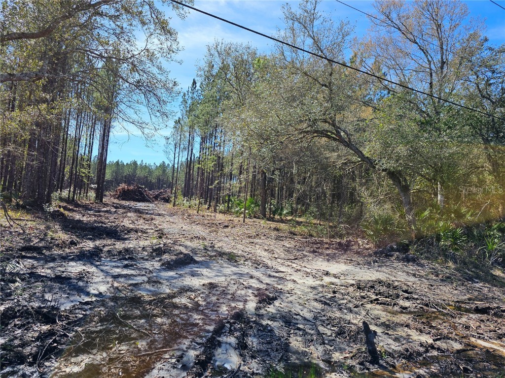 399 County Road 302 Bunnell FL 32110 FC298593 image1