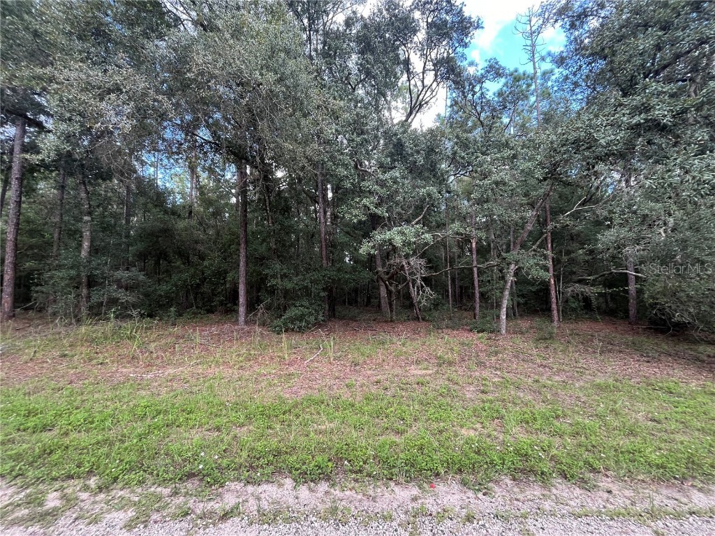 399 E Enfield Lane Citrus Springs FL 34434 OK224436 image1