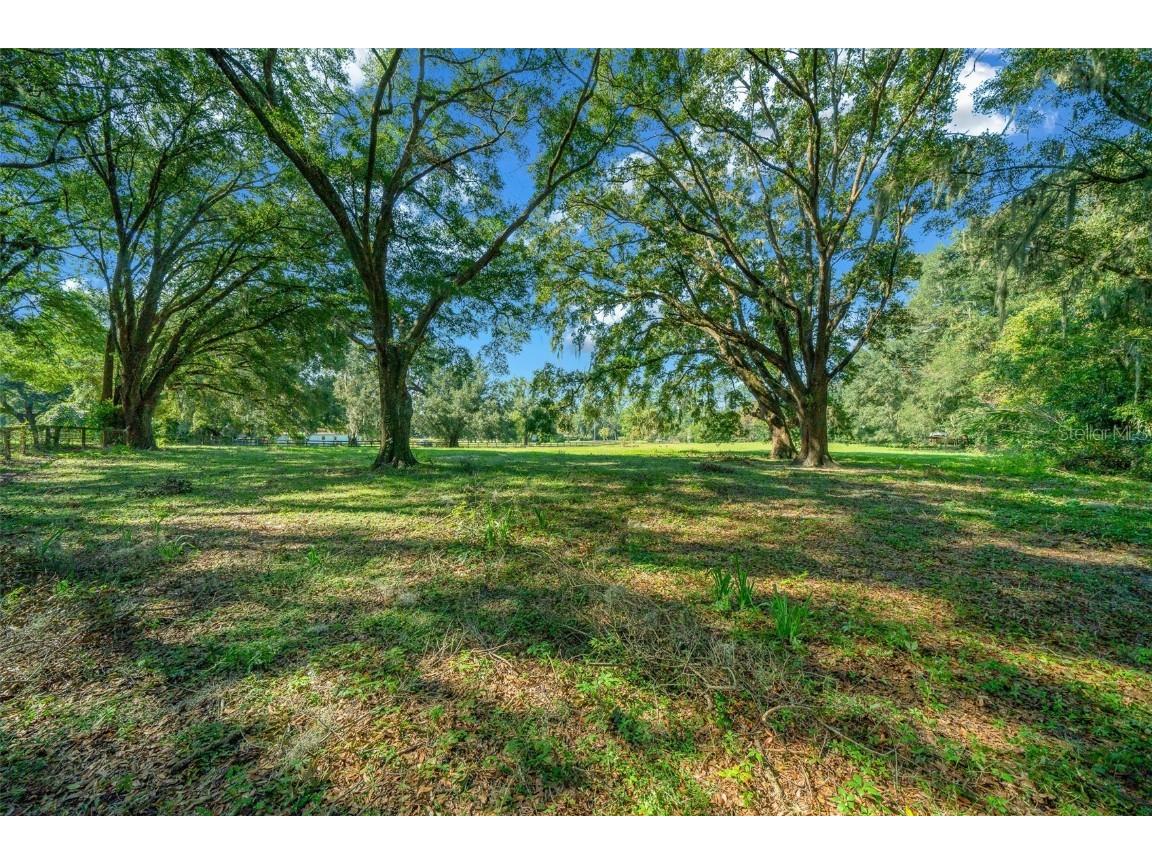 399 NE 155th Place Citra FL 32113 OM712656 image18