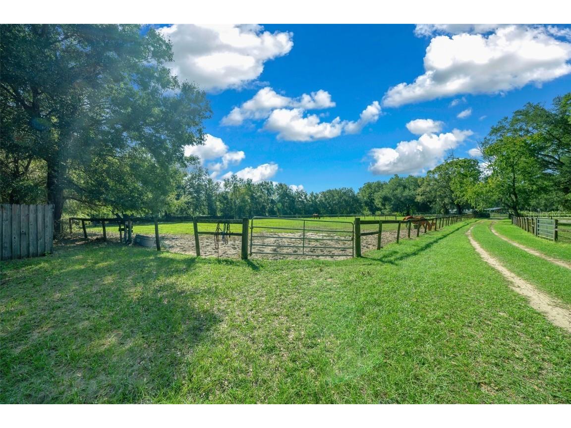 399 NE 155th Place Citra FL 32113 OM712656 image5