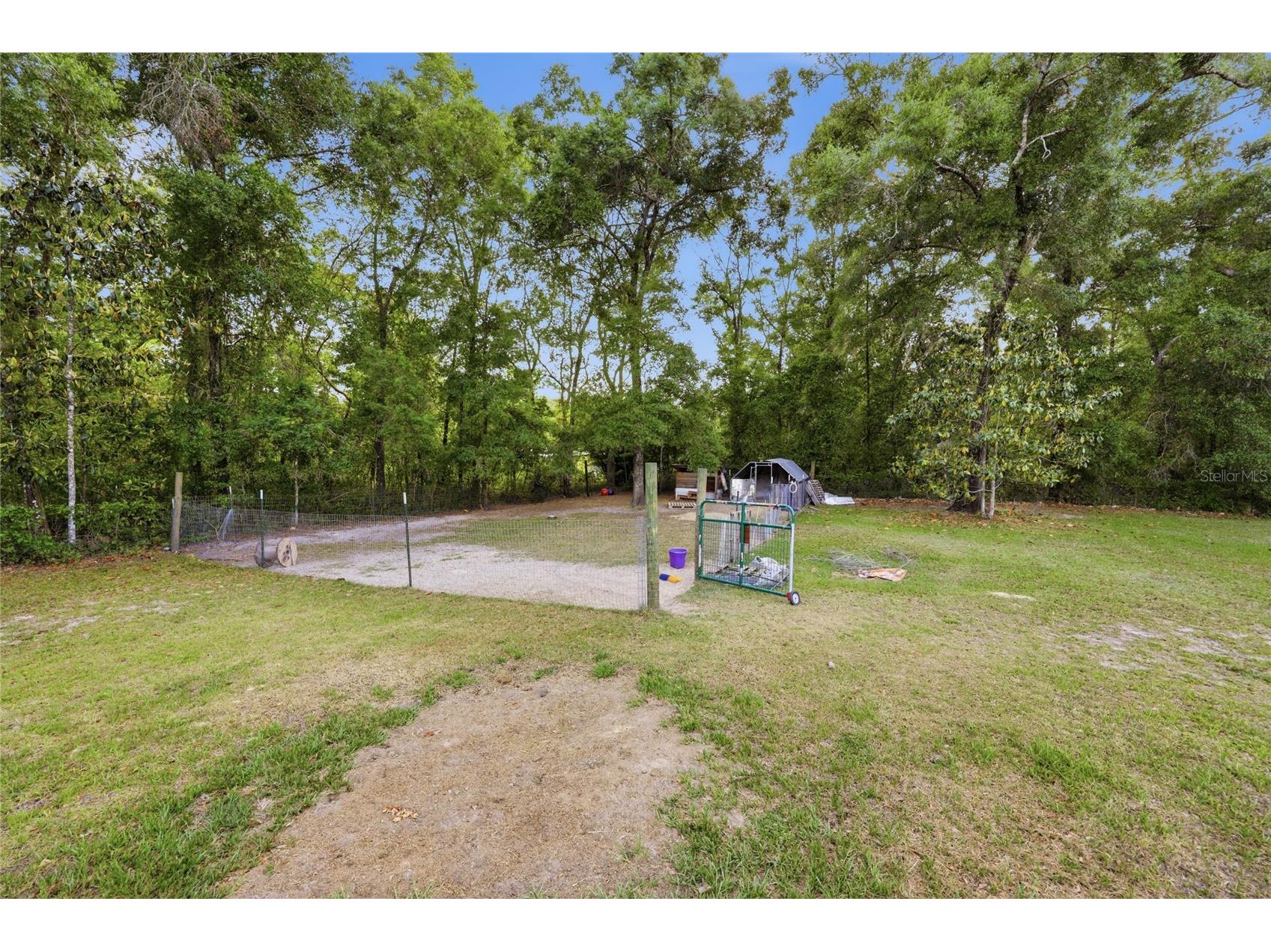 399 NE 899th Street Old Town FL 32680 GC539892 image46