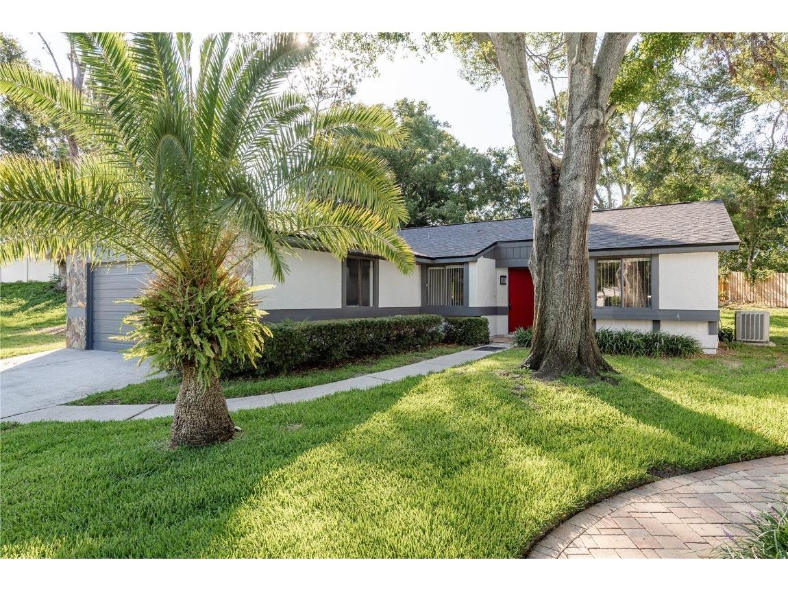 399 Walnut Court Palm Harbor FL 34683 TB8399145 image1