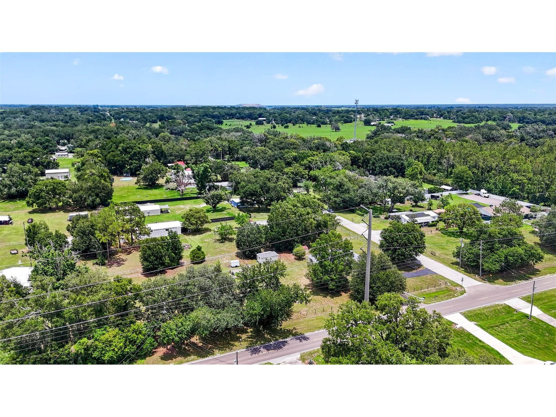 39901 Otis Allen Road Zephyrhills FL 33540 TB8515654 image43