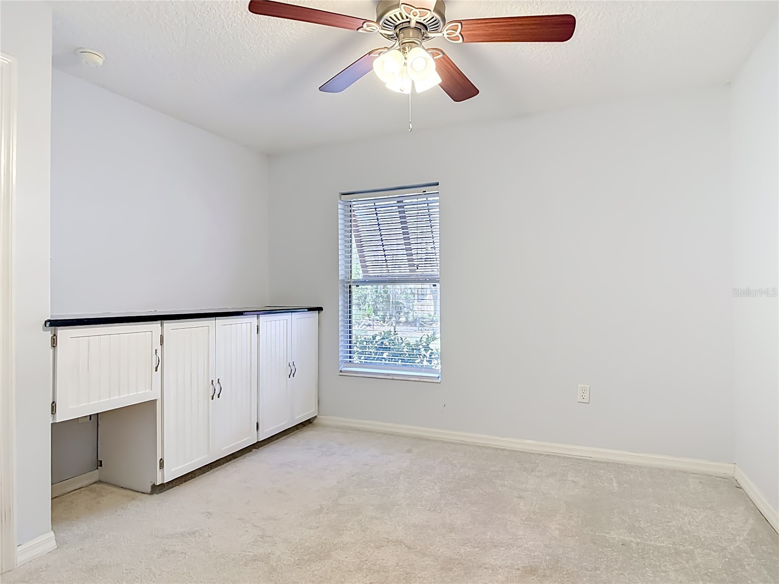39903 Greenbrier Street Eustis FL 32736 S5150255 image43