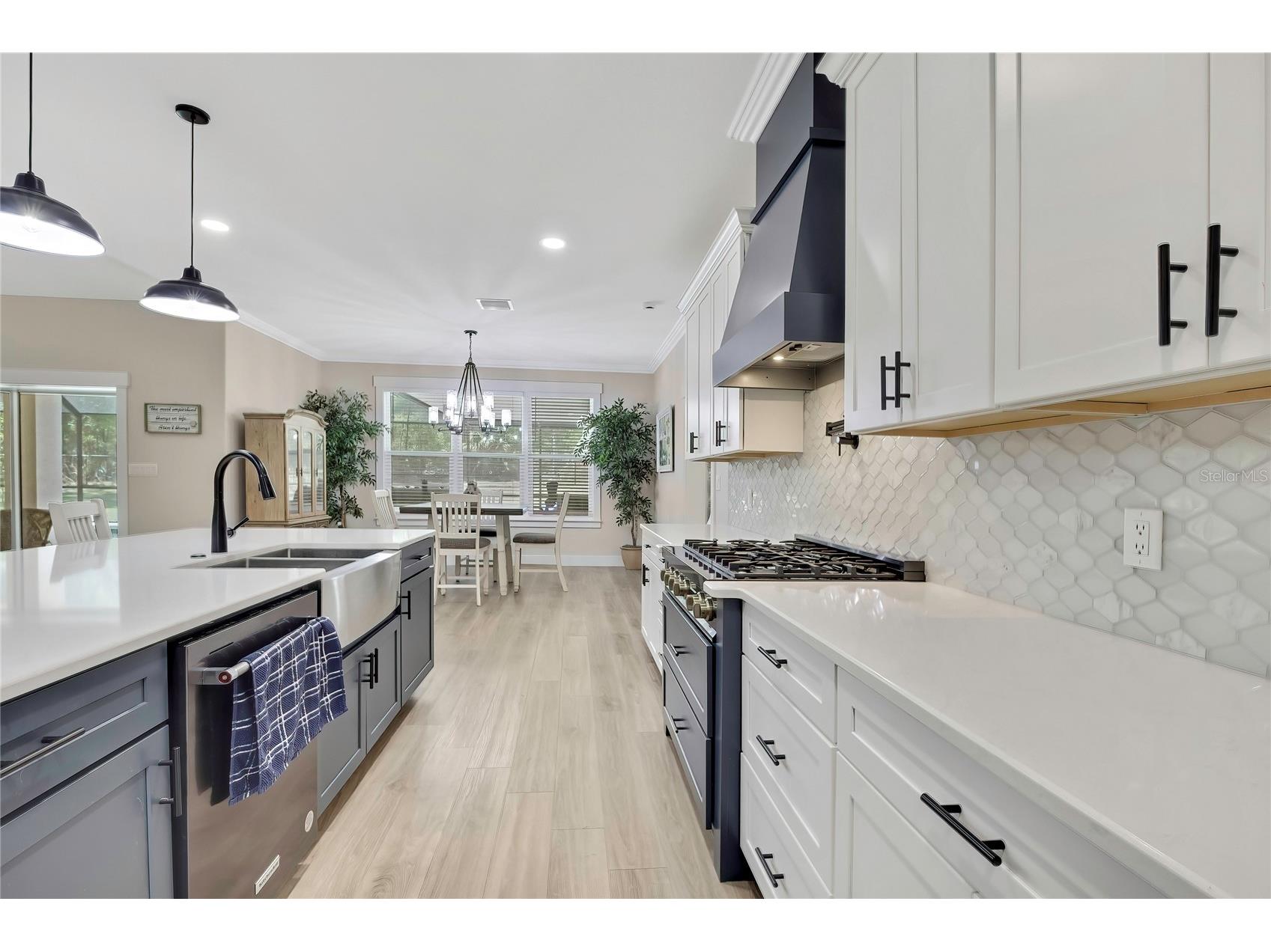 3991 N Buckhorn Drive Beverly Hills FL 34465 OM722188 image15