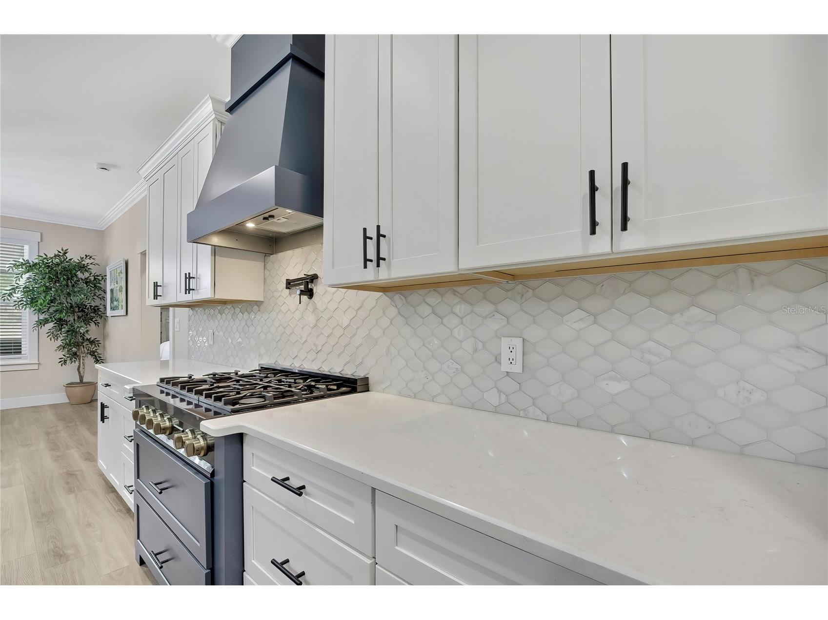 3991 N Buckhorn Drive Beverly Hills FL 34465 OM722188 image17