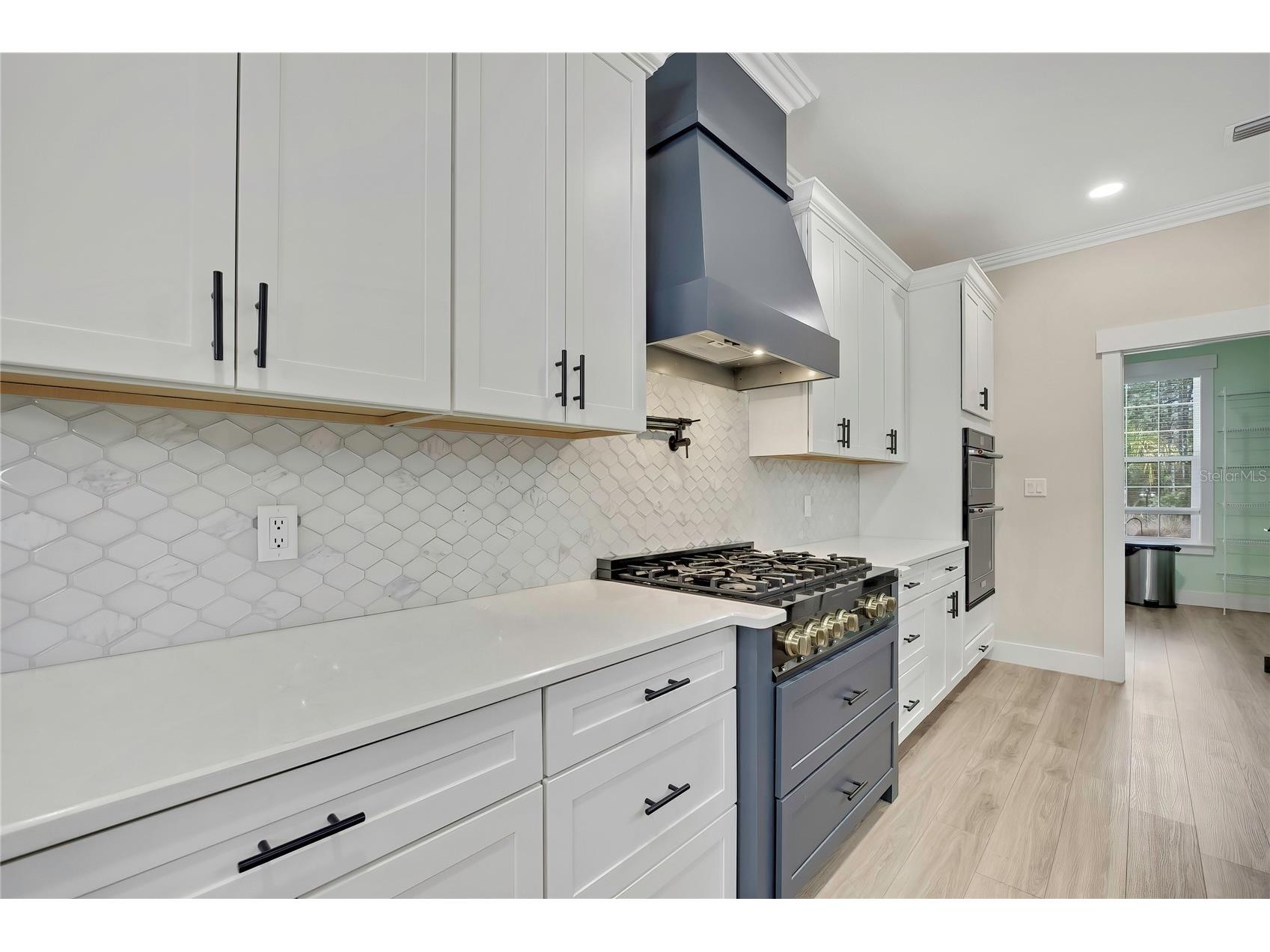 3991 N Buckhorn Drive Beverly Hills FL 34465 OM722188 image19