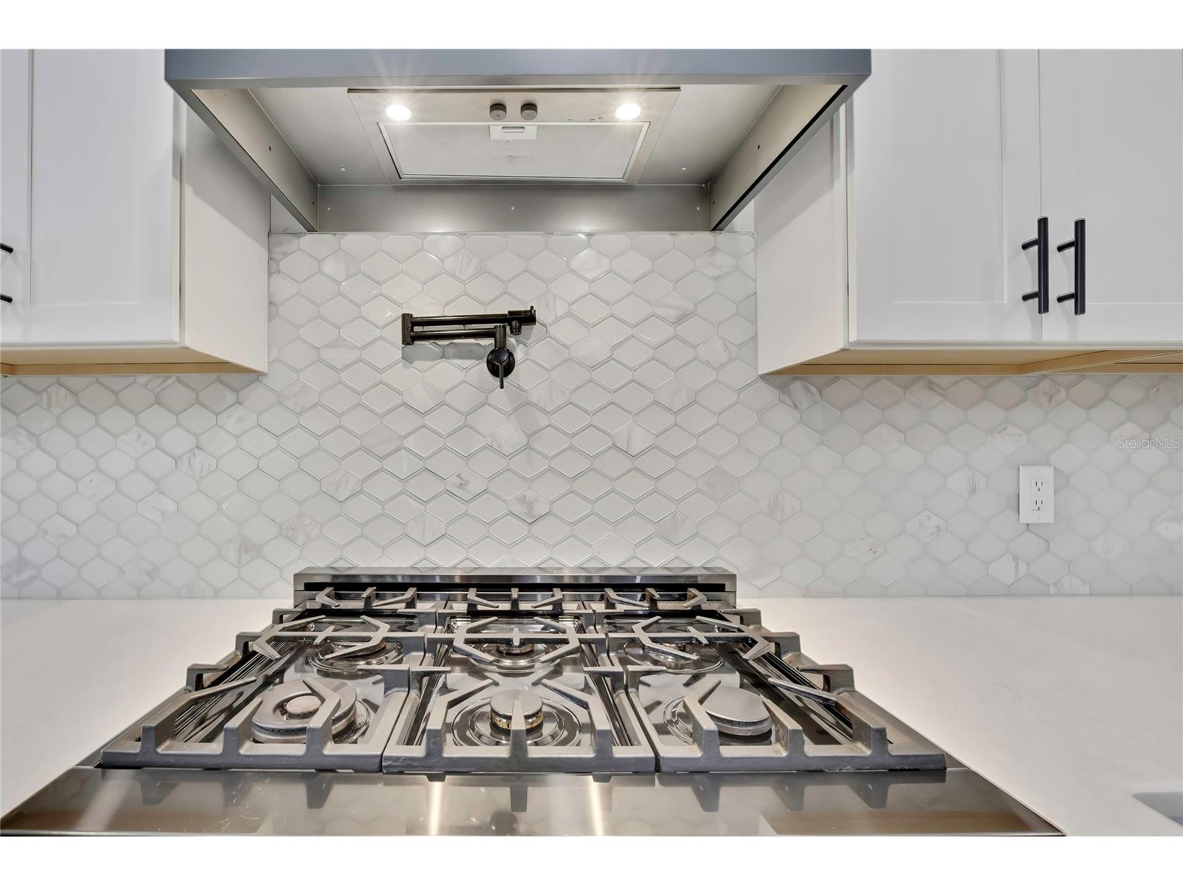 3991 N Buckhorn Drive Beverly Hills FL 34465 OM722188 image20