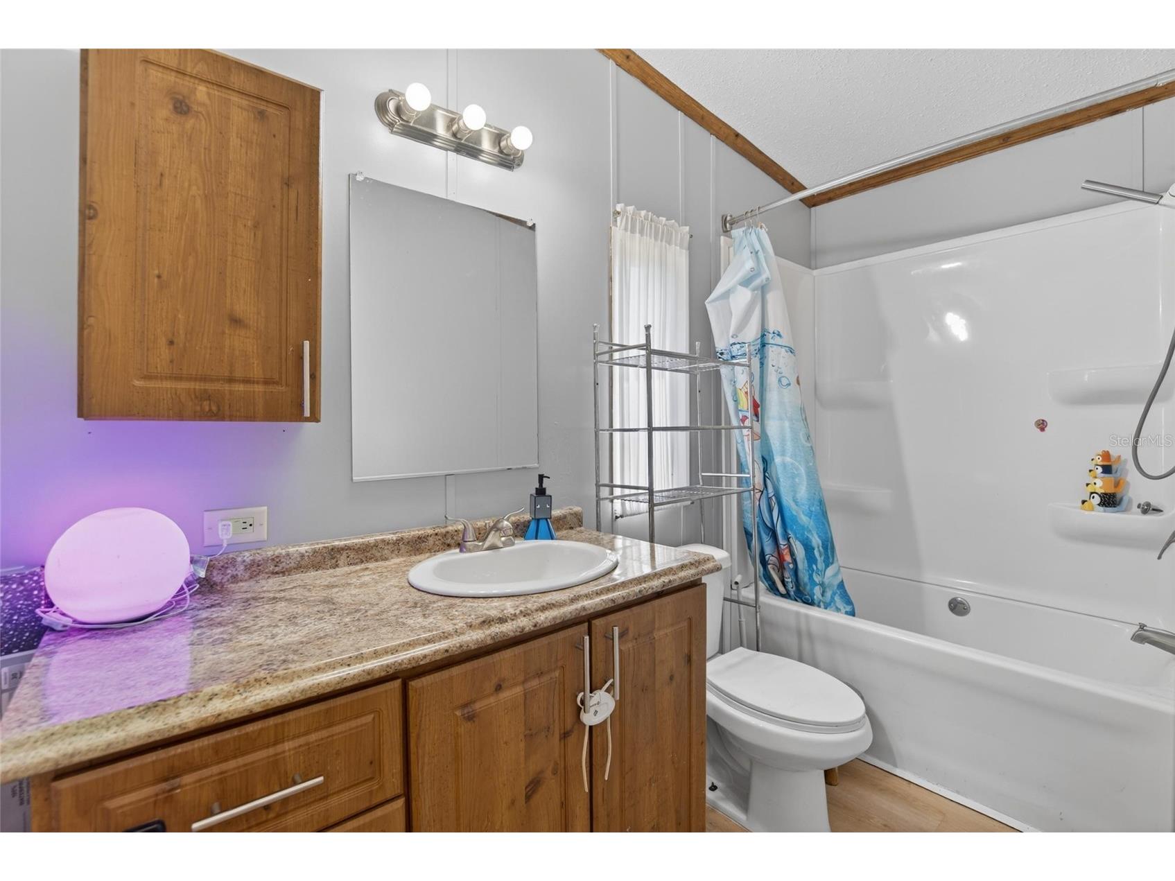 3991 Shady Court Mulberry FL 33860 TB8498790 image18