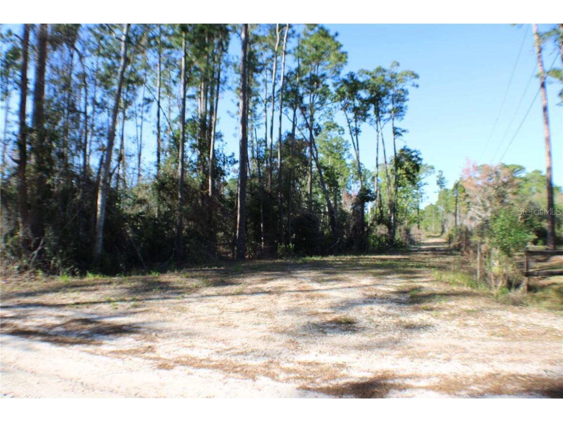 3991 Swamp Deer Road New Smyrna Beach FL 32168 NS1083950 image1