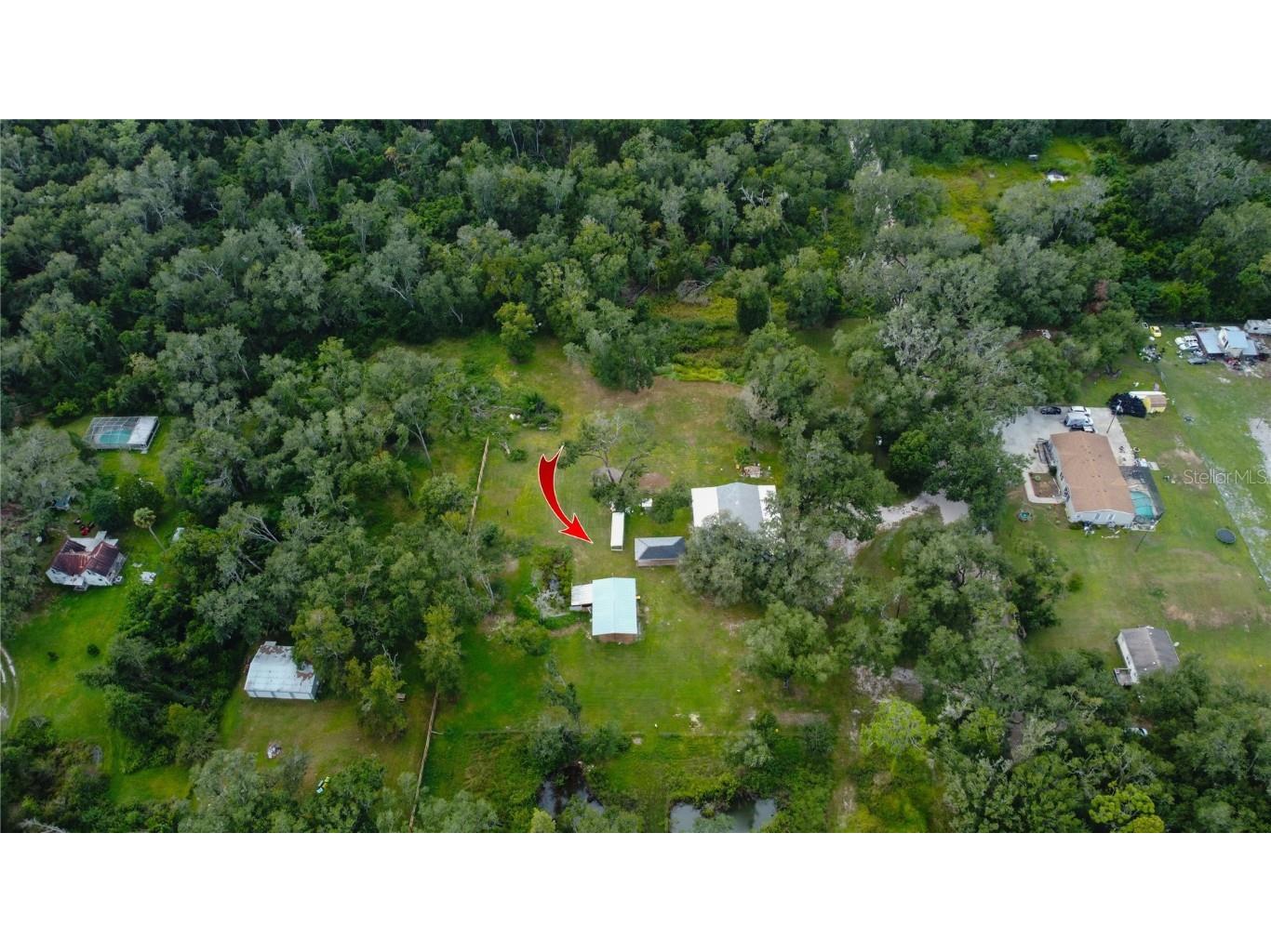 39912 Jerry Rd Zephyrhills FL 33540 TB8422544 image53