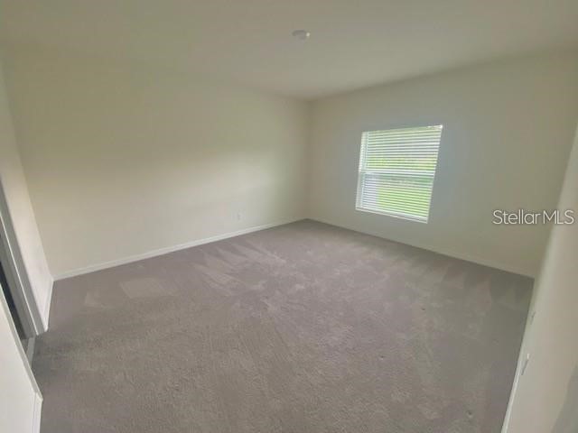 3992 Fescue Street Clermont FL 34714 S5151917 image12