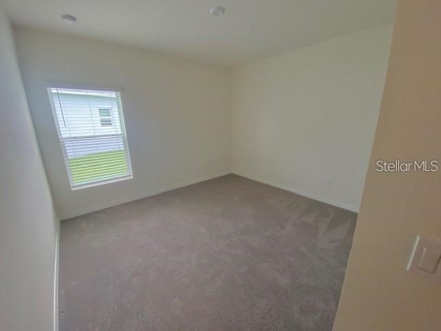 3992 Fescue Street Clermont FL 34714 S5151917 image19