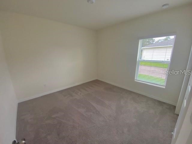 3992 Fescue Street Clermont FL 34714 S5151917 image20