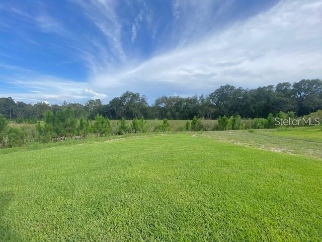 3992 Fescue Street Clermont FL 34714 S5151917 image24