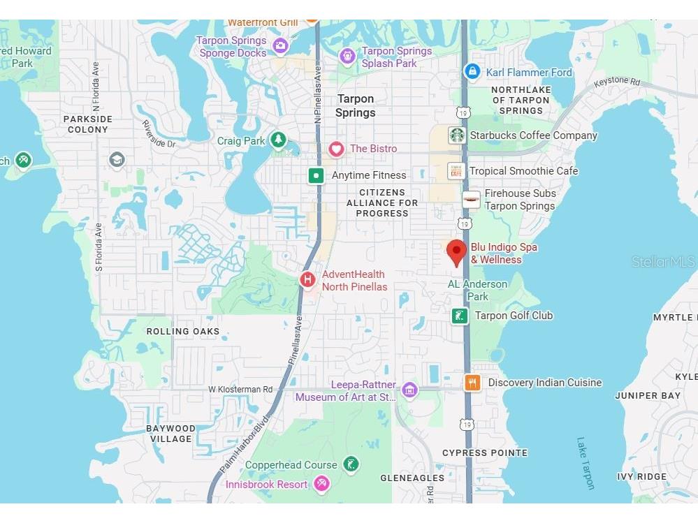 39920 Us Highway 19 N #39920 Tarpon Springs FL 34689 TB8470120 image5