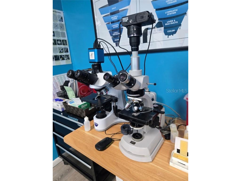 39924 Us Highway 19 Highway N #39924 Tarpon Springs FL 34689 TB8451554 image20