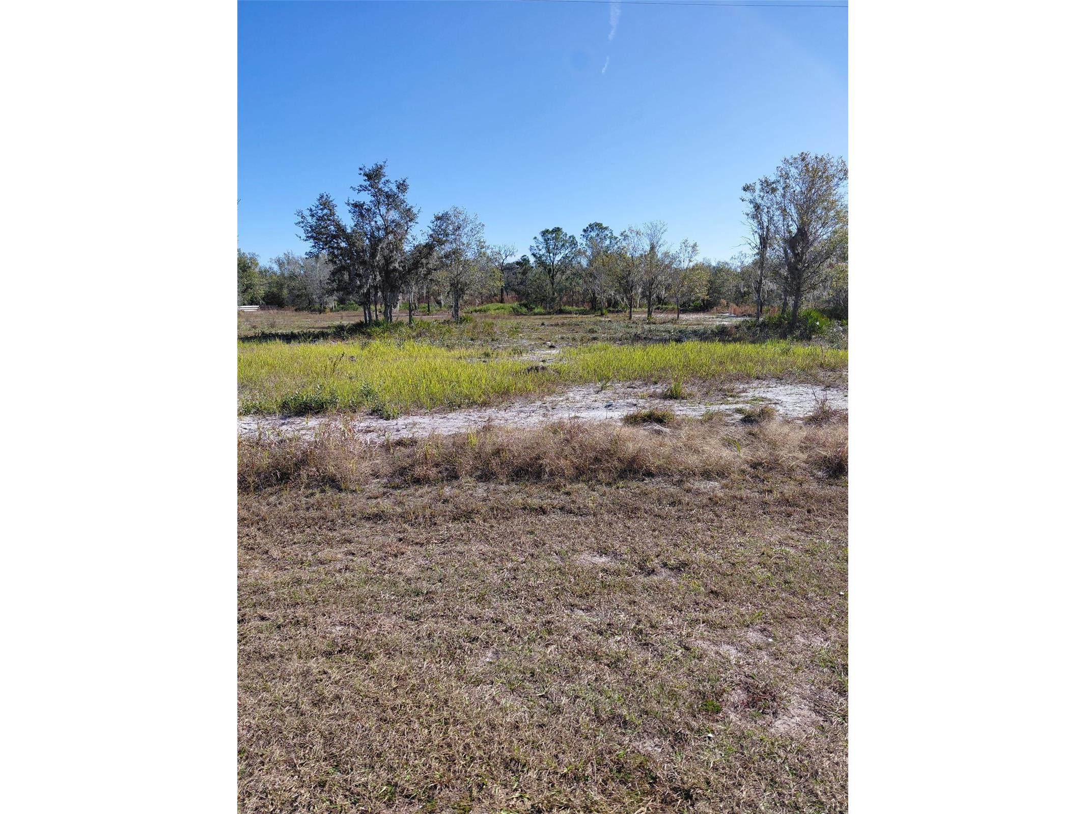 39925 20th Place E Myakka City FL 34251 A4679784 image2
