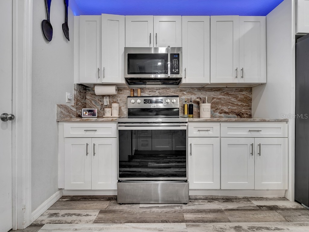 39930 Sunburst Drive Dade City FL 33525 TB8457008 image23