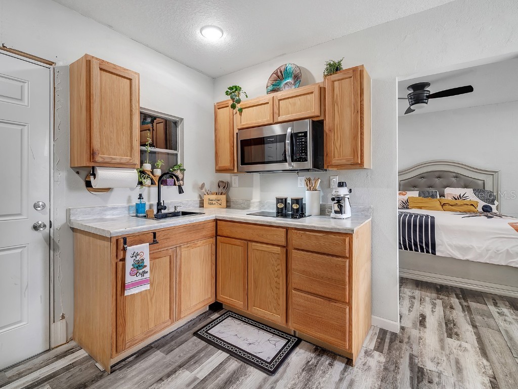 39930 Sunburst Drive Dade City FL 33525 TB8457008 image24