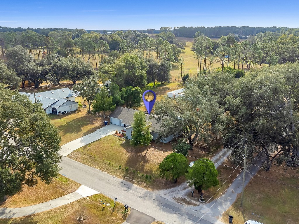 39930 Sunburst Drive Dade City FL 33525 TB8457008 image41